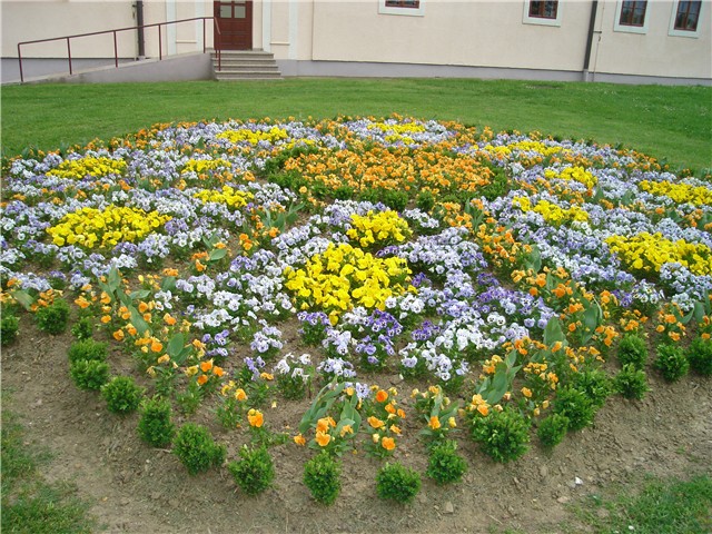 sajam cvijeća